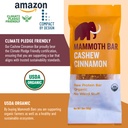 cashew-cinnamon-bar-organic-paleo-gluten-6.jpg
