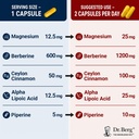 dr-berg-berberine-5-in-1-formula-60-caps-2.jpg