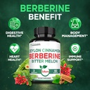 satoomi-berberine-supplement-with-organi-5.jpg