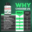 satoomi-berberine-supplement-with-organi-4.jpg