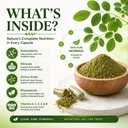 organic-moringa-capsules-800mg-for-energ-6.jpg