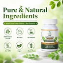 organic-moringa-capsules-800mg-for-energ-4.jpg