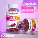 sam-e-with-l-tyrosine-gummies-methylated-2.jpg