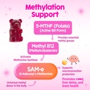sam-e-with-l-tyrosine-gummies-methylated-6.jpg