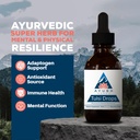ayush-herbs-tulsi-drops-alcohol-free-tul-2.jpg