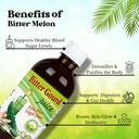 basic-ayurveda-bitter-gourd-karela-juice-3.jpg
