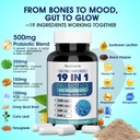 probiotics-for-women-menopause-digestive-6.jpg