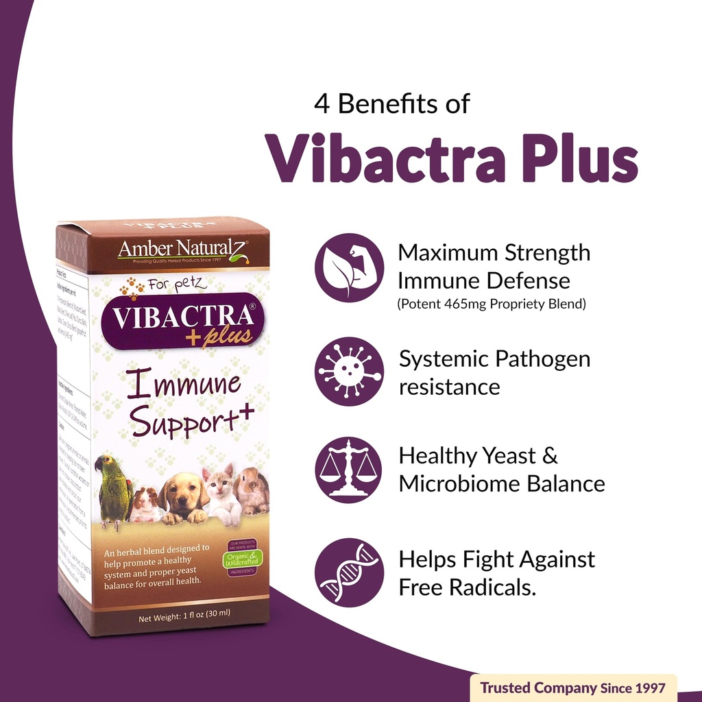 amber-naturalz-vibactra-plus-herbal-supp-2.jpg