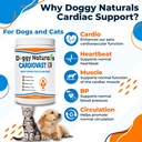 cardiovast-cardio-support-and-cardio-str-4.jpg