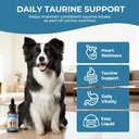 taurine-supplement-for-dogs-liquid-drops-3.jpg