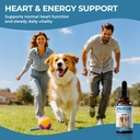taurine-supplement-for-dogs-liquid-drops-4.jpg