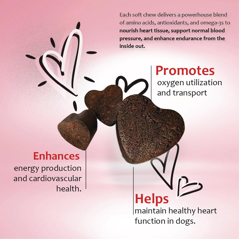 heart-support-supplement-for-dogs-vet-fo-4.jpg