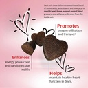 heart-support-supplement-for-dogs-vet-fo-4.jpg
