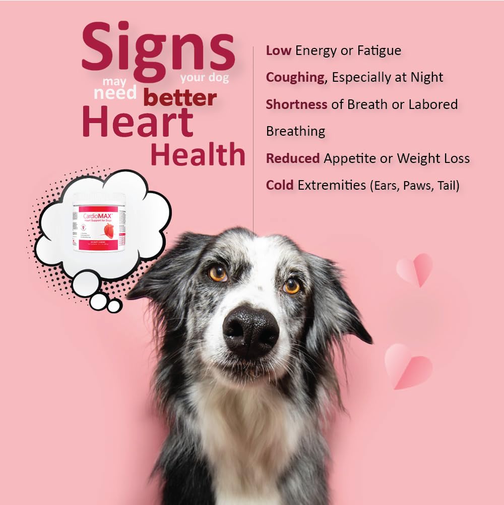 heart-support-supplement-for-dogs-vet-fo-2.jpg