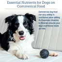rx-vitamins-essentials-for-dogs-daily-vi-4.jpg