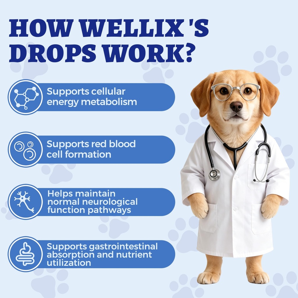 wellix-4-06oz-vitamin-b12-liquid-with-ta-6.jpg