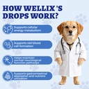 wellix-4-06oz-vitamin-b12-liquid-with-ta-6.jpg