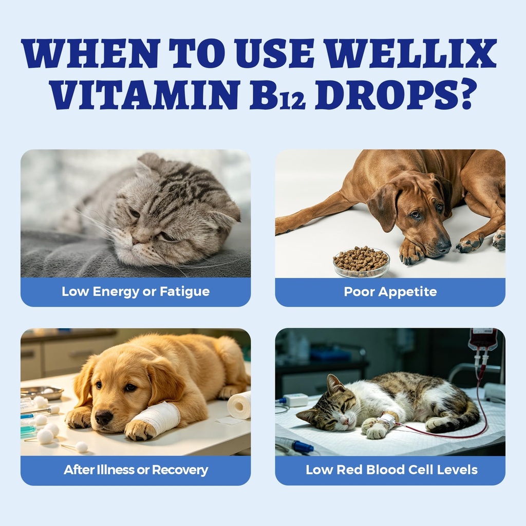 wellix-4-06oz-vitamin-b12-liquid-with-ta-4.jpg