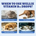 wellix-4-06oz-vitamin-b12-liquid-with-ta-4.jpg