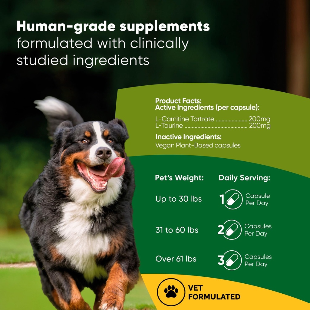 rooted-owl-cardio-support-for-dogs-l-car-2.jpg