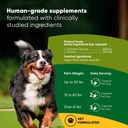 rooted-owl-cardio-support-for-dogs-l-car-2.jpg