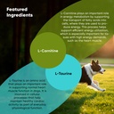 rooted-owl-cardio-support-for-dogs-l-car-4.jpg