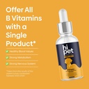 vitamin-b-complex-for-dogs-supports-meta-2.jpg