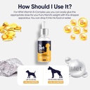 vitamin-b-complex-for-dogs-supports-meta-4.jpg