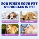 wellix-9-17-oz-25-taurine-for-dogs-healt-4.jpg