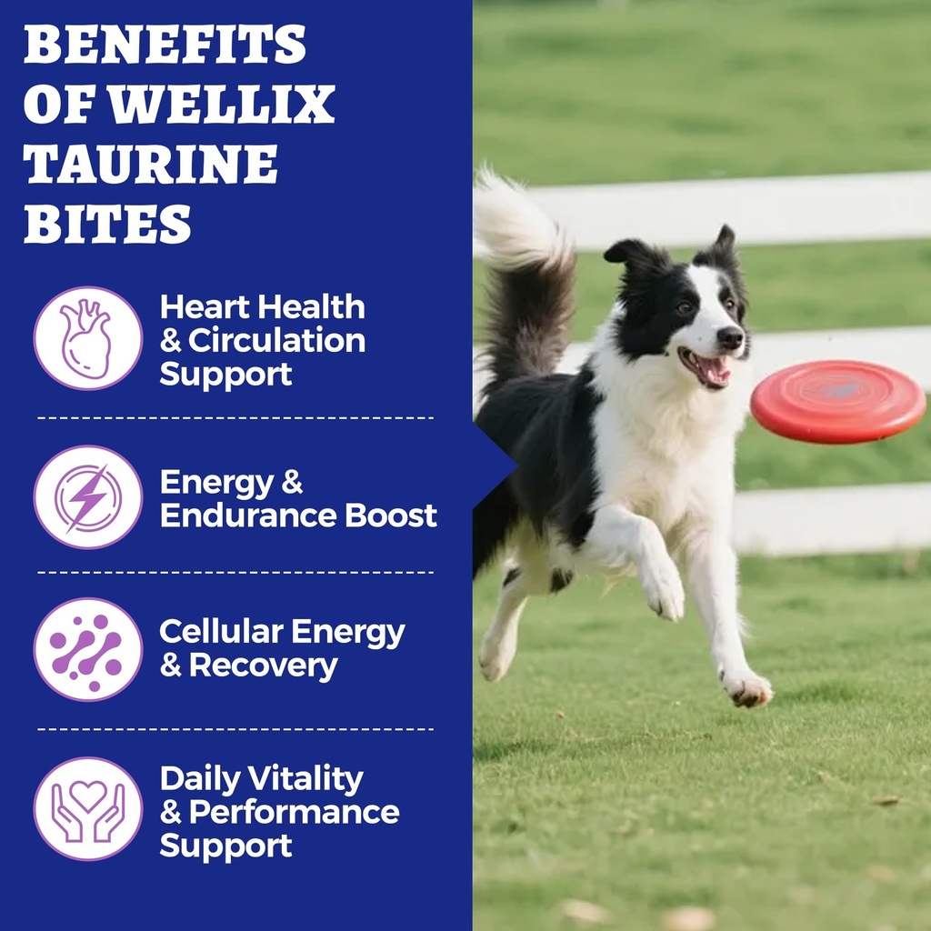 wellix-9-17-oz-25-taurine-for-dogs-healt-3.jpg