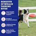 wellix-9-17-oz-25-taurine-for-dogs-healt-3.jpg