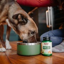 now-pet-health-cardiovascular-support-su-4.jpg