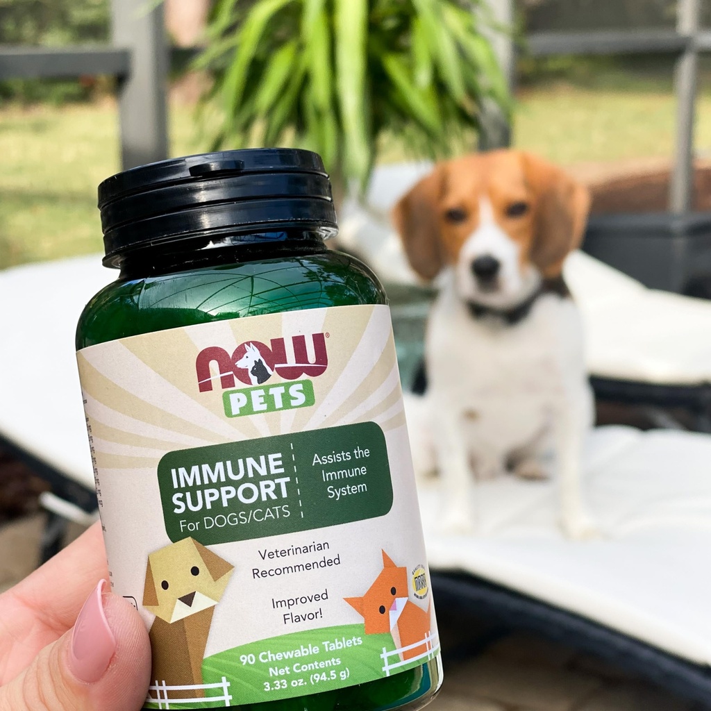 now-pet-health-immune-support-supplement-4.jpg