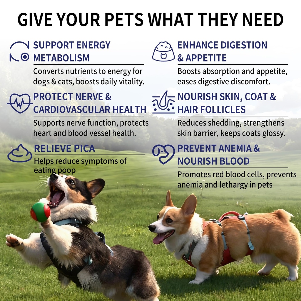 vitamin-b-for-dogs-200-tablets-vitamin-b-3.jpg