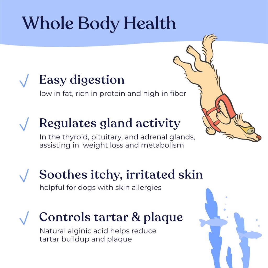 gentle-creatures-sea-kelp-iodine-rich-si-3.jpg