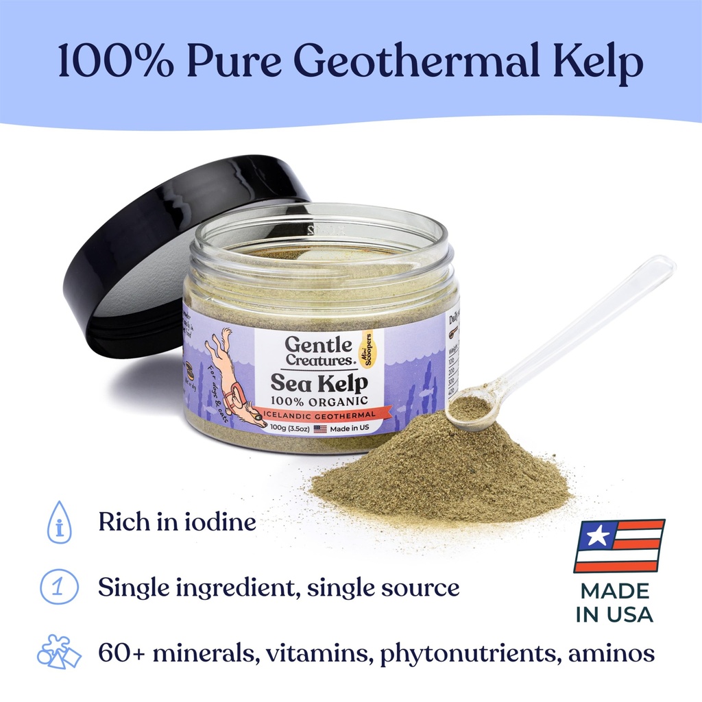 gentle-creatures-sea-kelp-iodine-rich-si-2.jpg