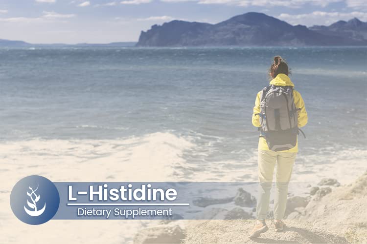 pure-original-ingredients-l-histidine-10-5.jpg