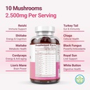 world-s-first-mushroom-gummies-with-lion-5.jpg