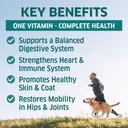 dog-multivitamin-dog-vitamins-and-supple-2.jpg