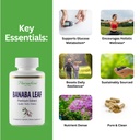 paradise-herbs-banaba-leaf-12-1-concentr-2.jpg
