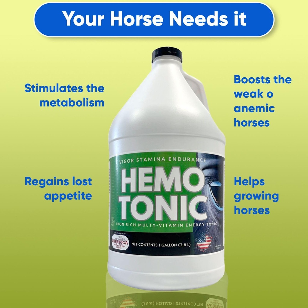 hemotonic-iron-rich-multi-vitamin-energy-2.jpg