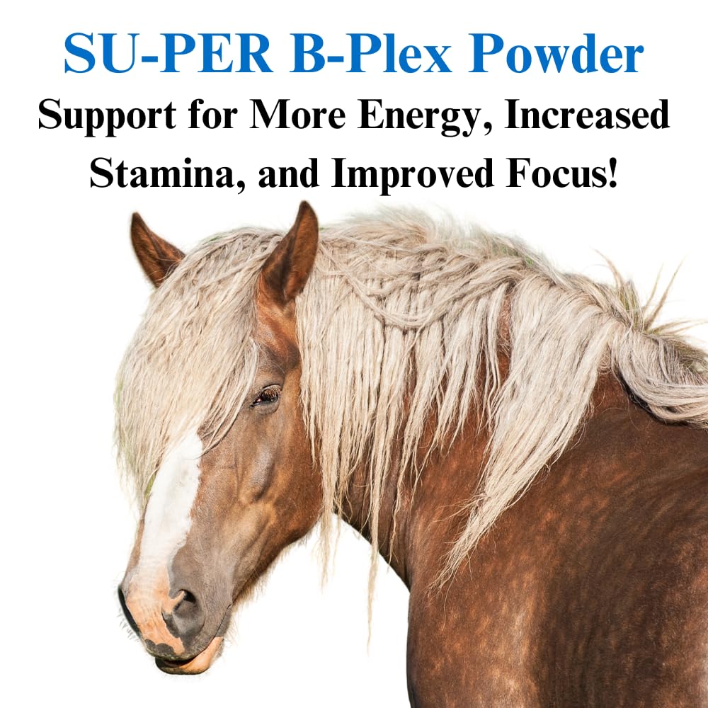 su-per-b-plex-powder-equine-vitamins-com-3.jpg