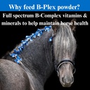su-per-b-plex-powder-equine-vitamins-com-5.jpg