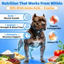 muscle-gain-power-soft-chews-for-dogs-do-5.jpg