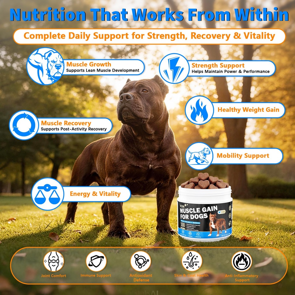 muscle-gain-power-soft-chews-for-dogs-do-4.jpg