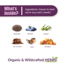 amber-naturalz-vibactra-immune-support-h-3.jpg