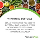 naturesplus-vitamin-d3-2500-iu-90-softge-3.jpg