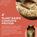 healthforce-superfoods-warrior-food-prot-4.jpg