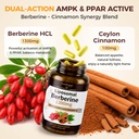 greenpeople-liposomal-berberine-suppleme-3.jpg