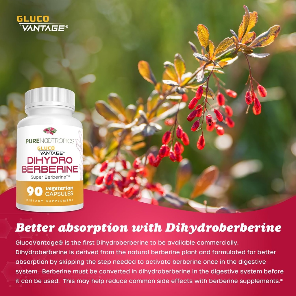 pure-nootropics---dihydroberberine-suppl-4.jpg